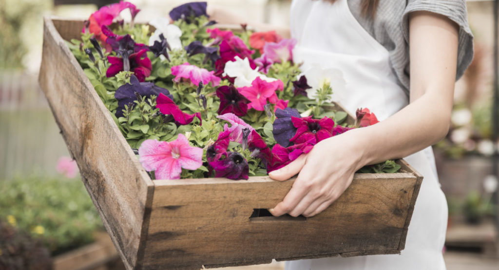 8 astuces pour déco avec des caisses en bois