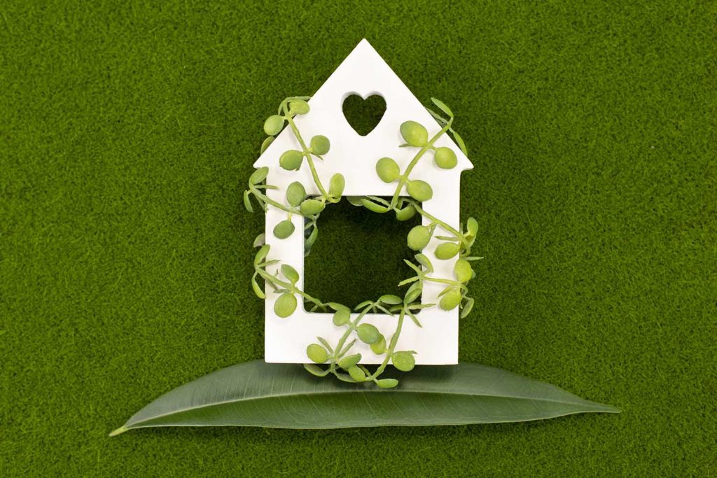 كيف تجعل منزلك صديقا للبيئة ؟ نصائح للحد من التلوث و لبيئة أنظف