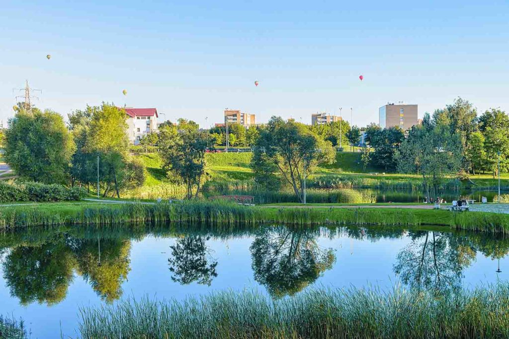 Comment aménager un bassin dans votre jardin ? 