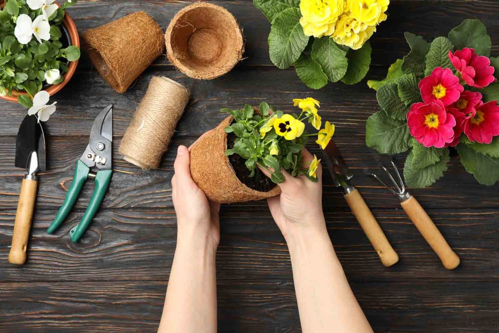 Comment choisir des arbustes pour son jardin ?