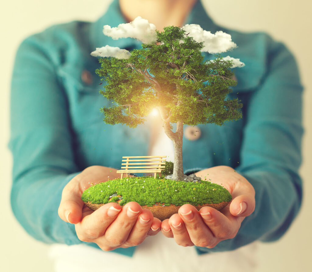 Le rôle croissant de la durabilité énergétique dans la conception des maisons