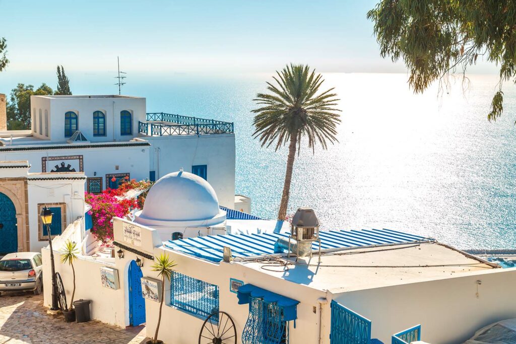 L’évolution des maisons urbaines en Tunisie : De la médina aux quartiers modernes