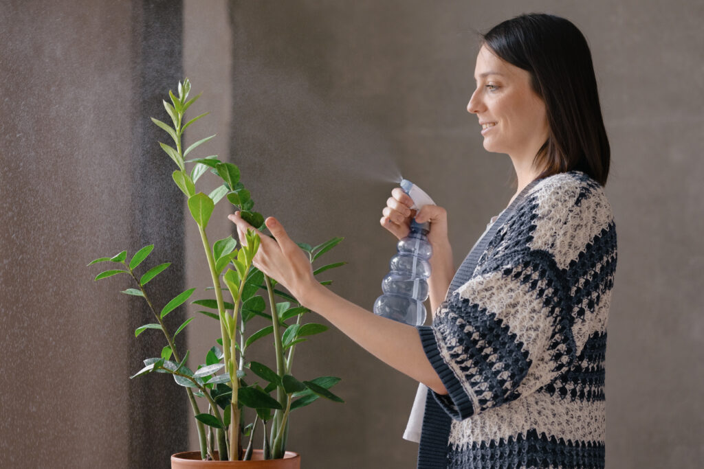 Comment garder une odeur fraîche dans votre maison ? : 6 astuces infaillibles