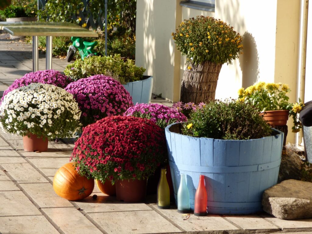 Décoration de jardin : les tendances incontournables en 2025